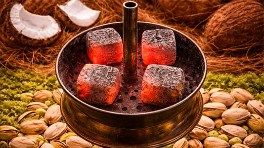 مقارنة فحم قشر جوز الهند وفحم قشر الفستق