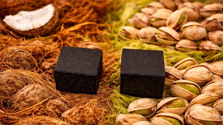 مقارنة بين فحم جوز الهند وفحم قشور الفستق